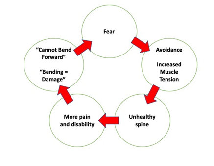 Chronic Low Back Pain