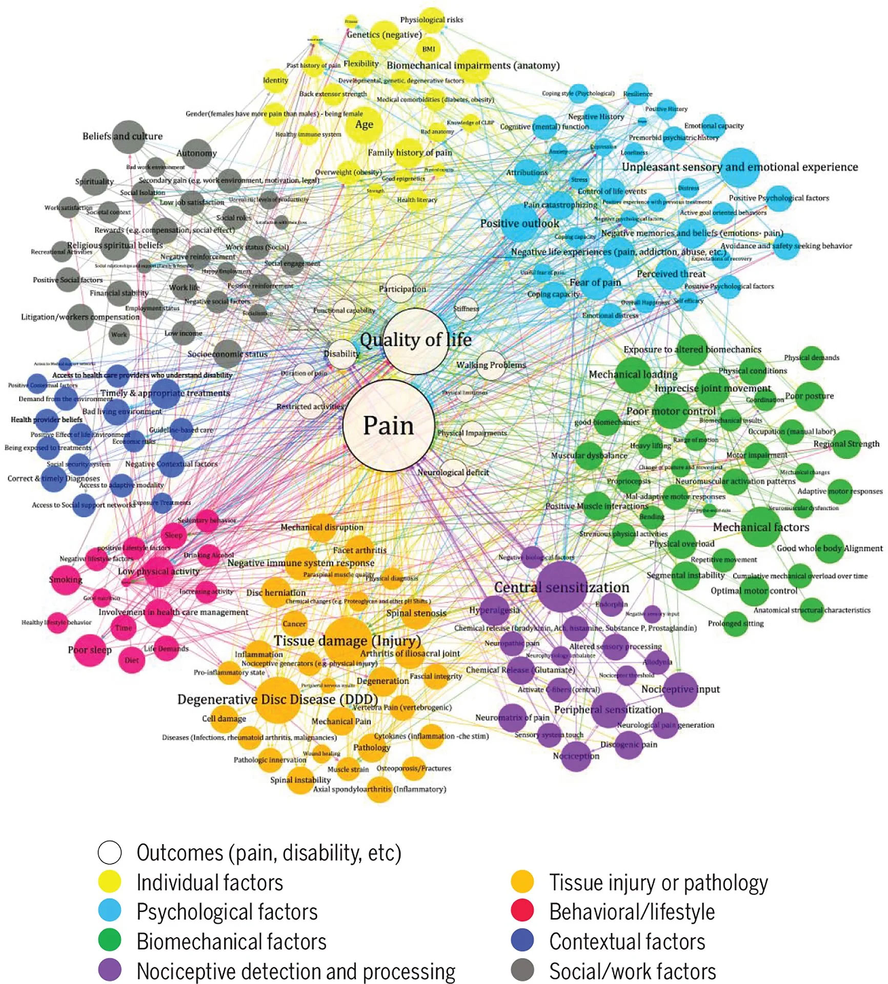Chronic pain conditions and acute pain impacts on quality of life.