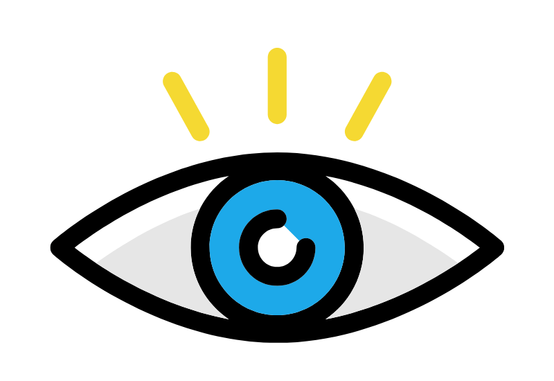 The visual system provides information on the environment